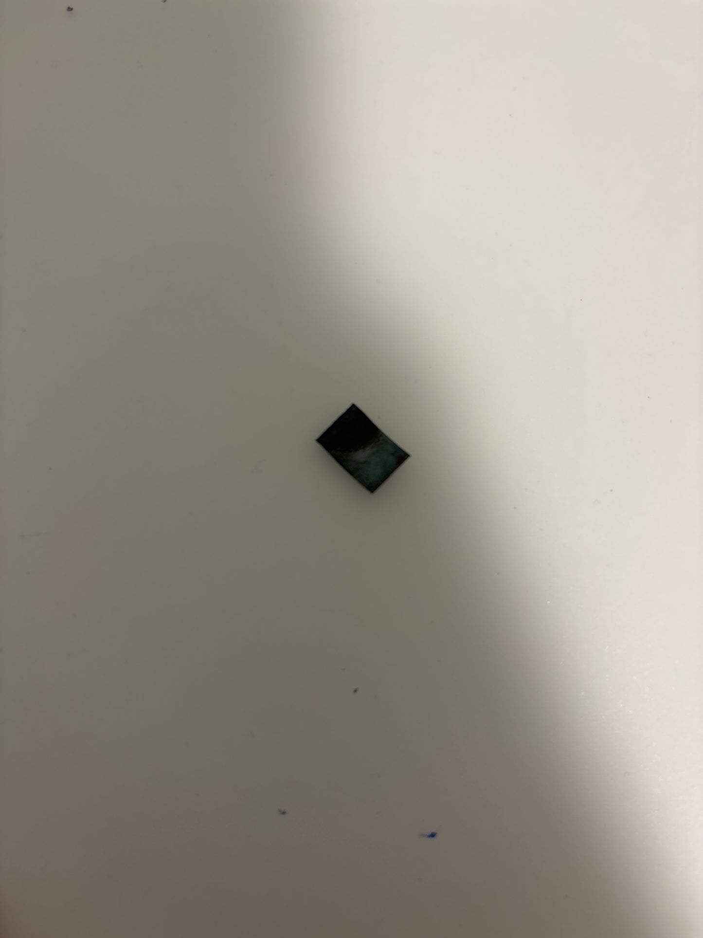 SAB Coffee Machine Steam Knob Lock Pin - Replacement Part