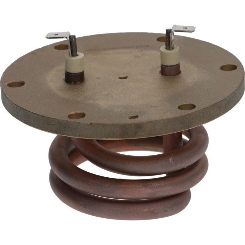 bz10 heating element with gasket