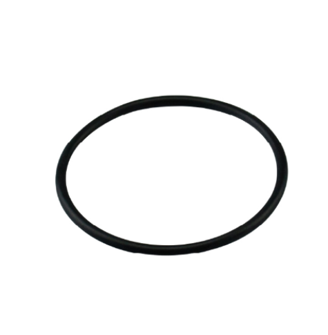 Gaggia Classic Pro NEW Boiler O-RING/ Gasket