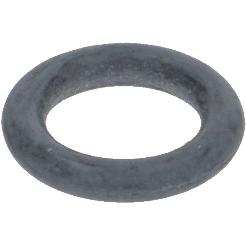 Rancilio EPDM O-Ring 36402001 – Silvia & More